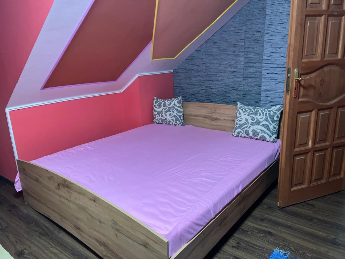 Bianka Hostel & Car Rent 布达佩斯 外观 照片