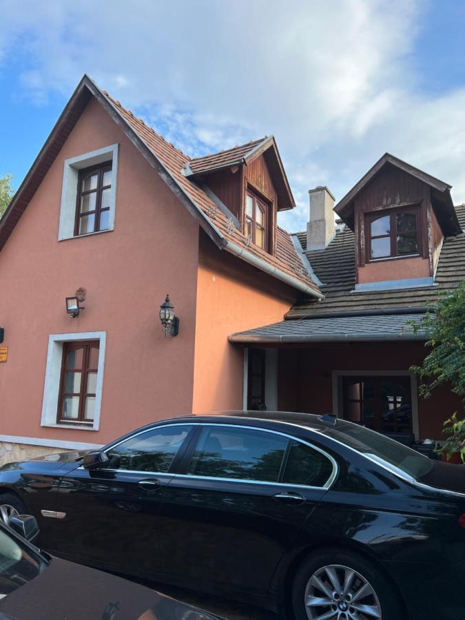 Bianka Hostel & Car Rent 布达佩斯 外观 照片